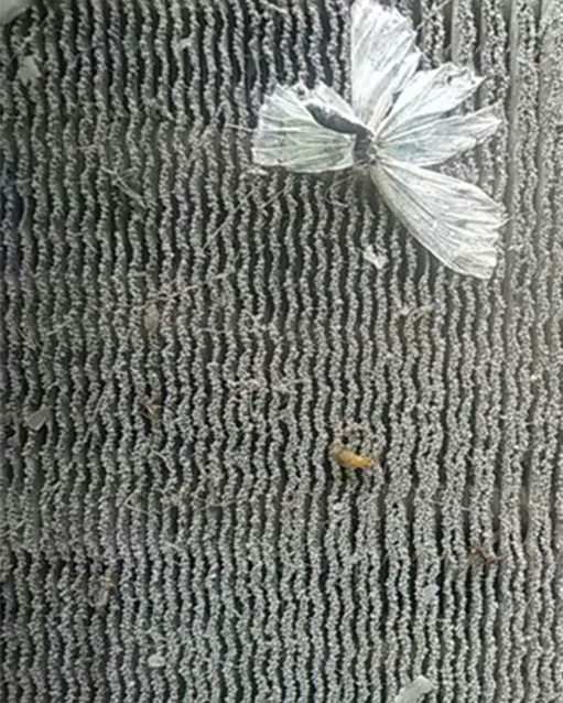 ailettes condenseur avant nettoyage pollen